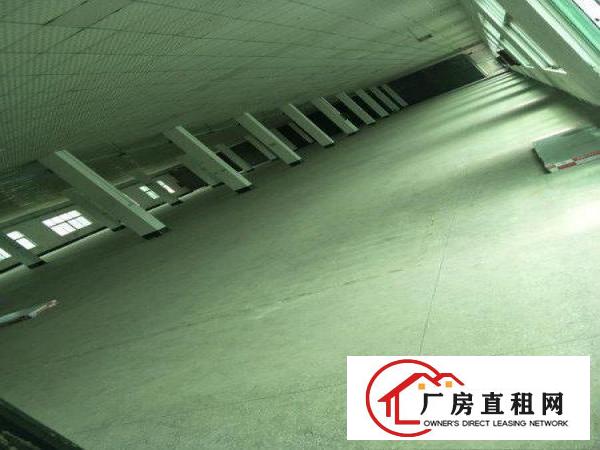 
坪山石井楼上三千平方精装修原房东带红本出租