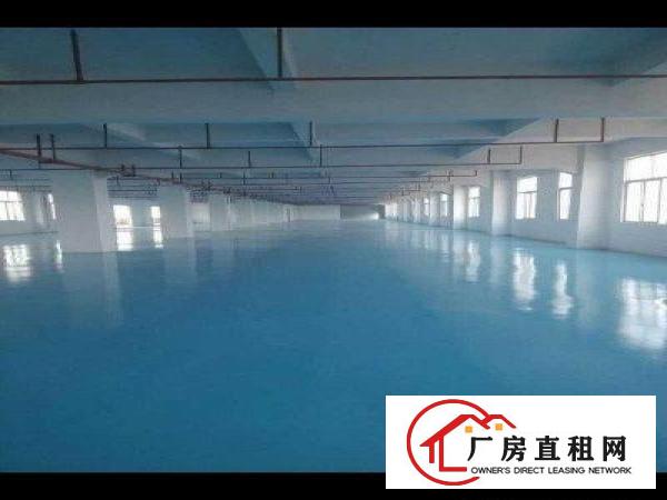 
坪山新出1100平独院标准厂房带地坪漆急租