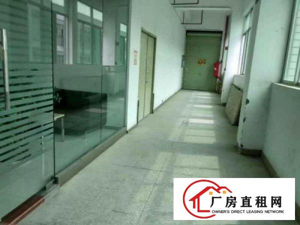 
急坪山新区大工业区原房东一二楼厂房10000平米