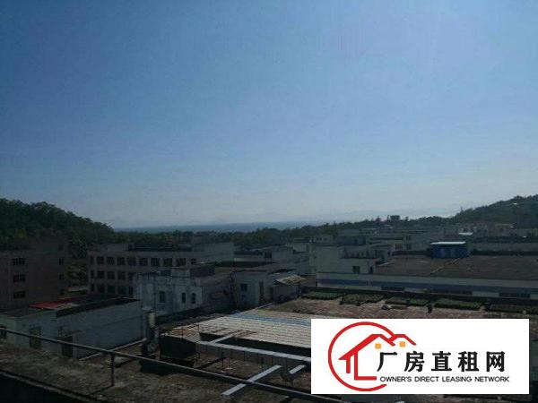 
坪山5000平方厂房便宜招租，可分租