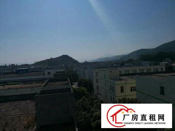 
坪山5000平方厂房便宜招租，可分租