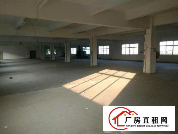 
坪山3000平方精品小独院招租