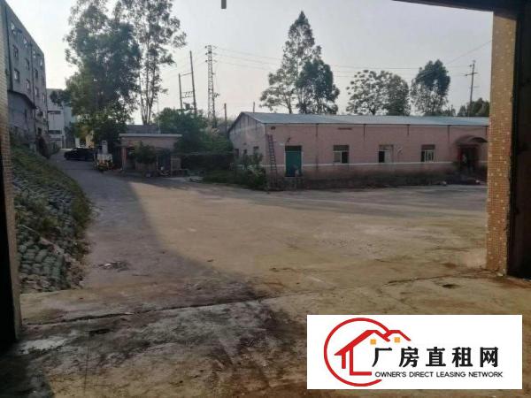 
坪山新出3200平7米钢构带牛腿，园区空地大