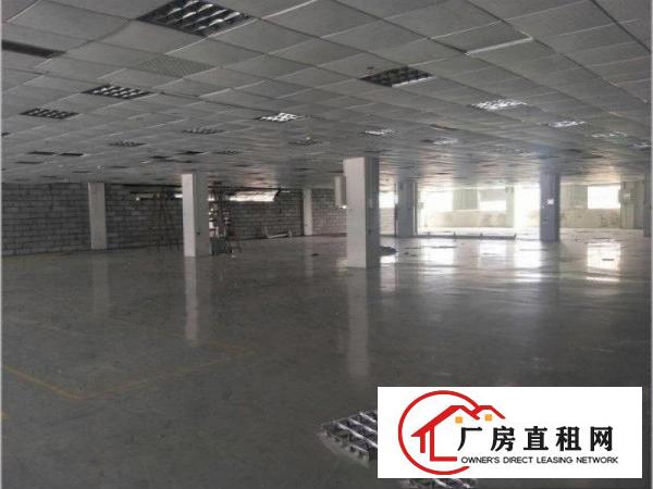 
坪山大工业区新出楼上2500平带地坪漆装修厂房出租