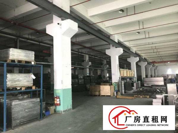 
[坑梓厂房]坑梓一楼层高6米带牛角厂房3500平