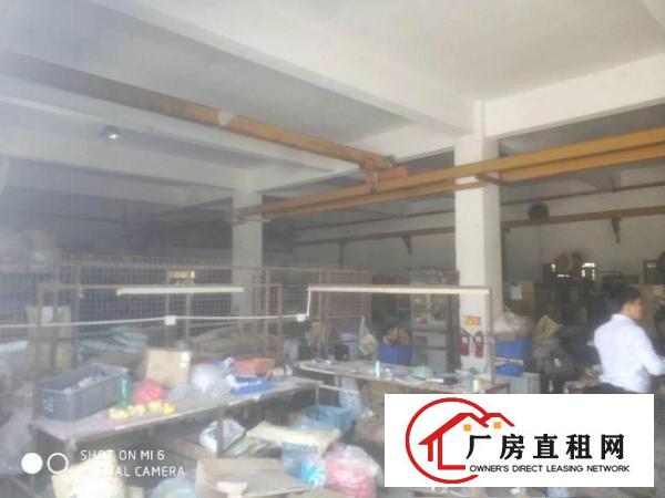 
坪山三洋湖附近新出一楼300平方厂房出租