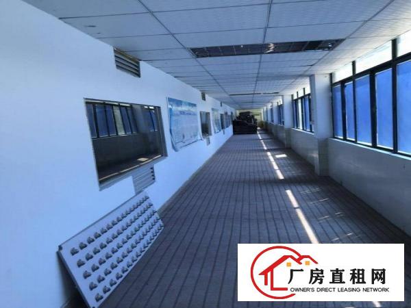
坪山碧岭新出现成办公室展厅出租