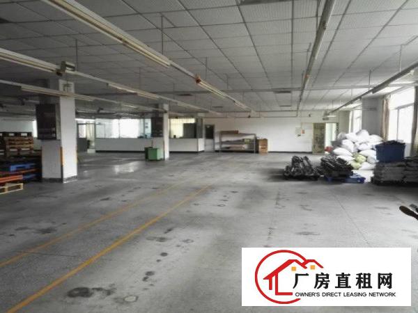
坪山碧岭3楼790平米厂房14元/平米出租