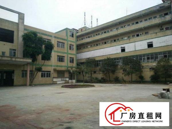 
坪山六联浦桥工业区1楼750平米标准6米厂房出租