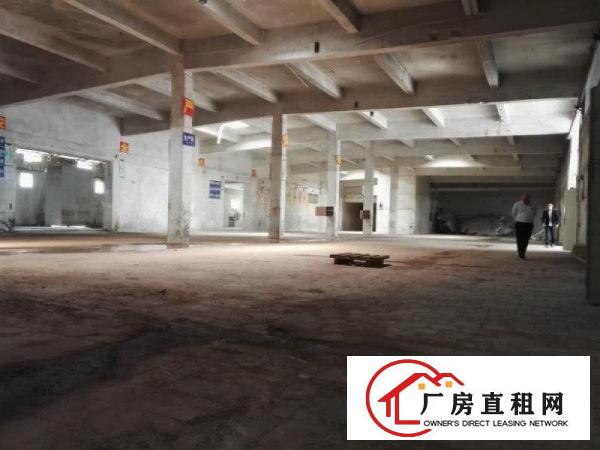 
坪山六联浦桥工业区1楼750平米标准6米厂房出租