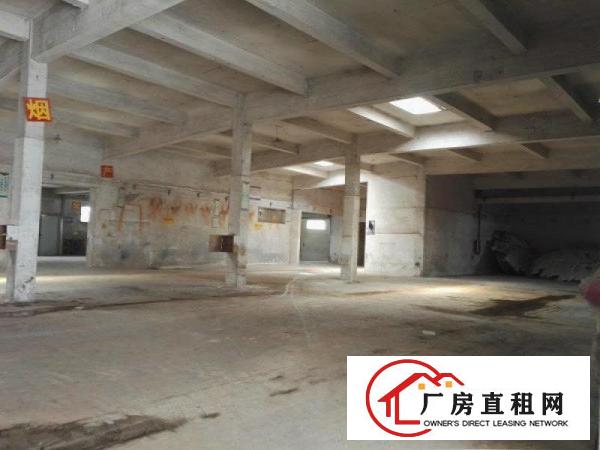
坪山六联浦桥工业区1楼750平米标准6米厂房出租