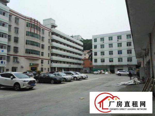 
坪山碧岭工业区3楼450平米厂房14元出租