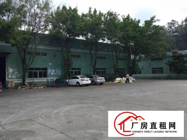 
坪山沙湖市场400平方一楼钢构，7米高，带装修