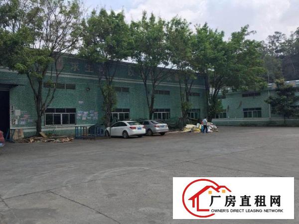 
坪山沙湖市场400平方一楼钢构，7米高，带装修