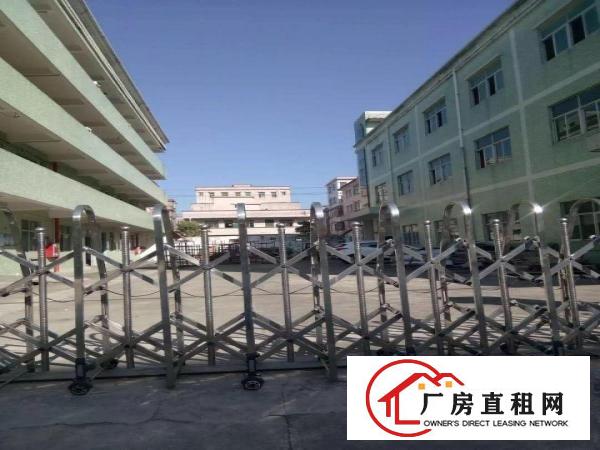 
坪山石井新出独院3层3800平方，水电齐全