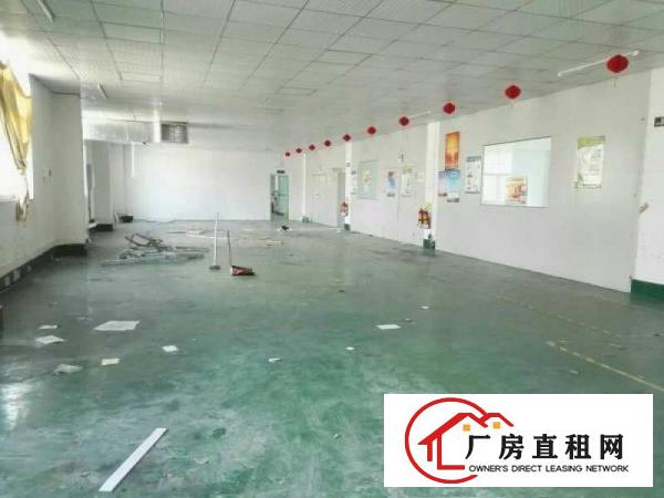 
坪山碧岭新出1180平楼上整层标准厂房低价出租