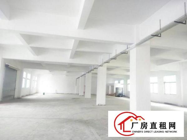 
坪山汤坑新出独院3850平标准厂房低价出租