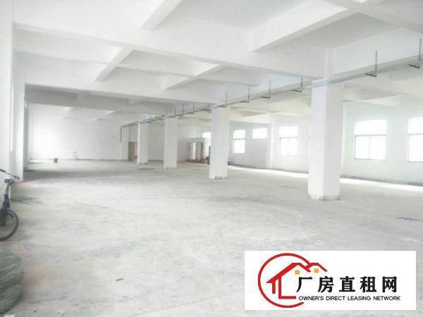 
坪山汤坑新出独院3850平标准厂房低价出租