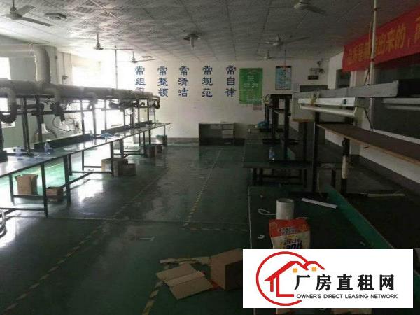 
坪山马峦工业区新出3楼1080平方招租面积实在