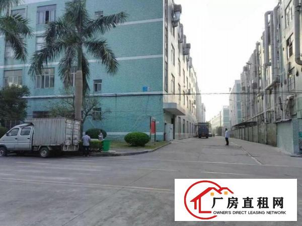
坪山马峦工业区新出3楼1080平方招租面积实在