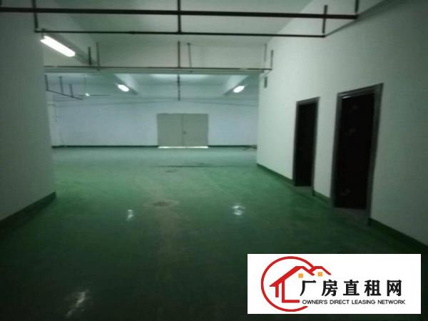 
坪山大工业区新出楼上300平带装修有红本