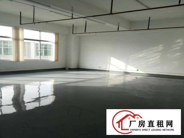 
坪山大工业区新出楼上300平带装修有红本