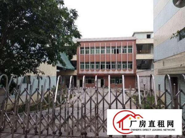 
龙岗坪山深汕路独院3500平有红本