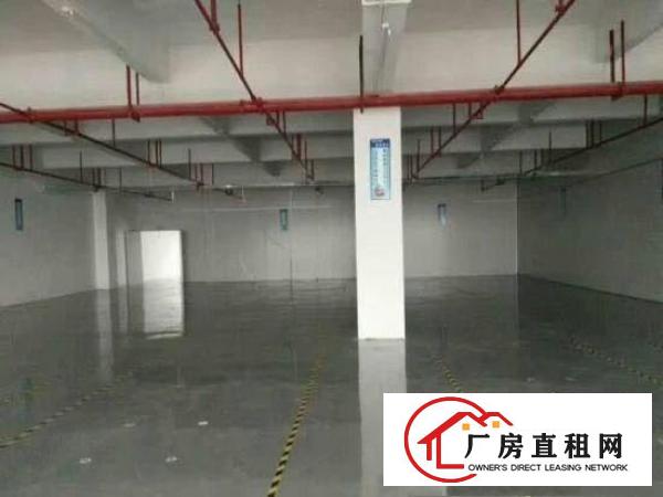 
龙岗坪山深汕路独院3500平有红本