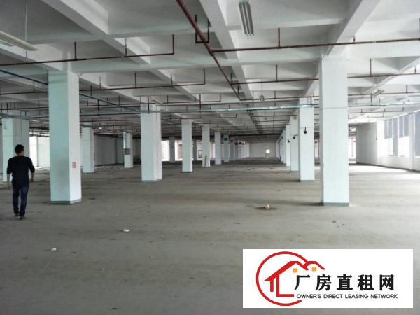 
带喷淋红本厂房配备5吨电梯带卸货平台招租30000