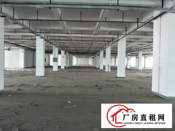 
带喷淋红本厂房配备5吨电梯带卸货平台招租30000
