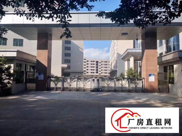 
坪山大工业区新出精装修3楼4600平米无转让费