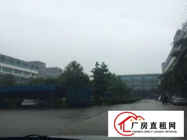 
坪山大工业区楼上1680平招租有红本可申请补贴