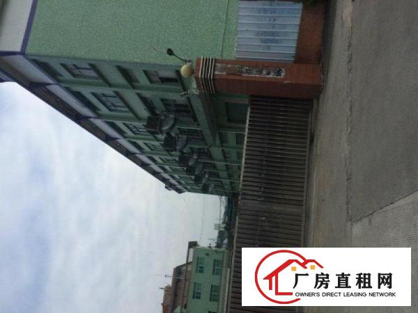 
坪山各村委独院厂房钢构厂房和原房东厂房出租表