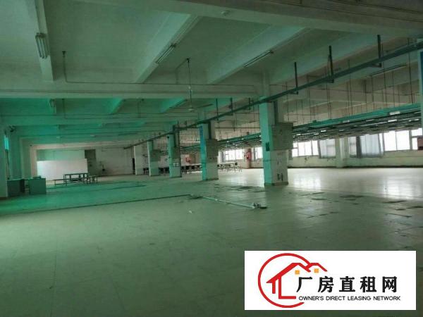 
坪山大工业区新出原房东独院60000平可大小分租