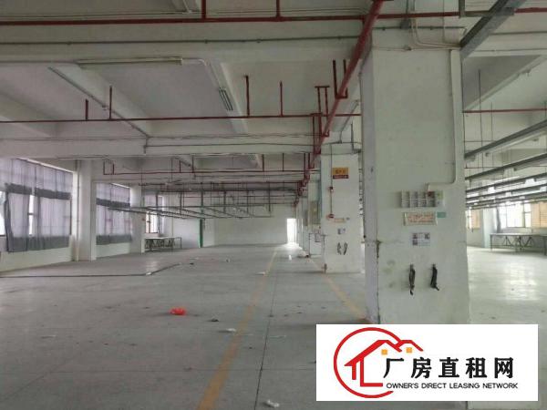 
坪山大工业区新出原房东独院60000平可大小分租
