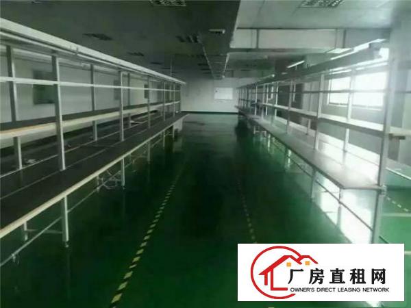 
坪山大工业带红本可做医疗厂房1800平出租可分租