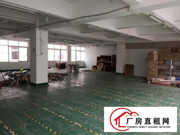 
坪山碧岭金碧路旁原房东3楼1100平出租