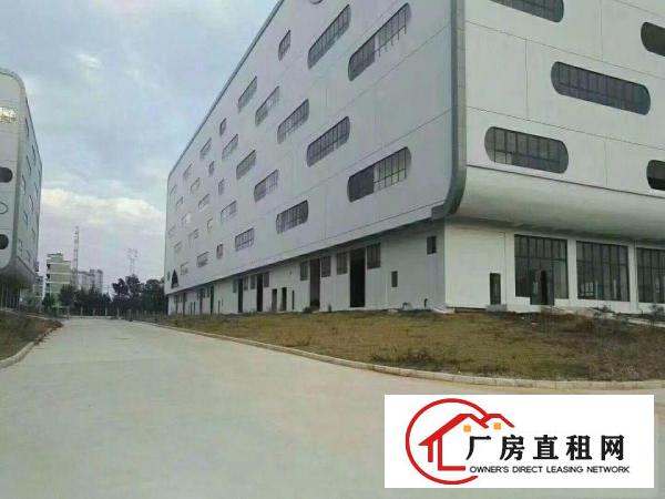 
深圳市坪山免税仓库厂方280000平米火爆招商