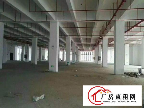 
深圳市坪山免税仓库厂方280000平米火爆招商
