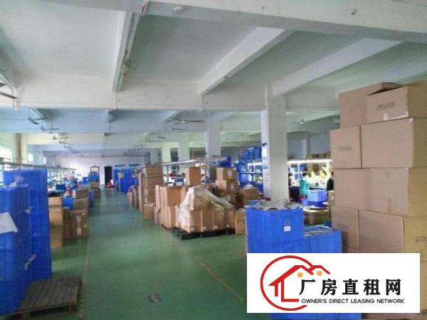 
16元形象超靓独院5100平坪山