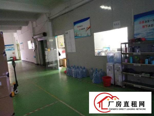 
16元形象超靓独院5100平坪山