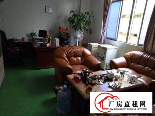 
16元形象超靓独院5100平坪山