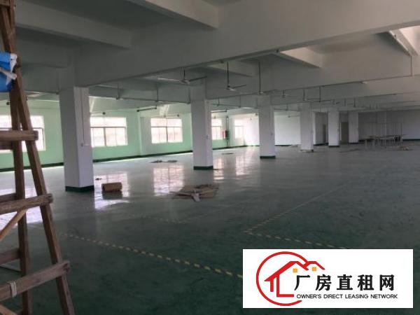 
坪山新出精品小独院3200平招租可分租