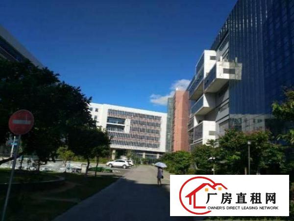 
坪山医疗器械产业园红本厂房1000平出租可分租