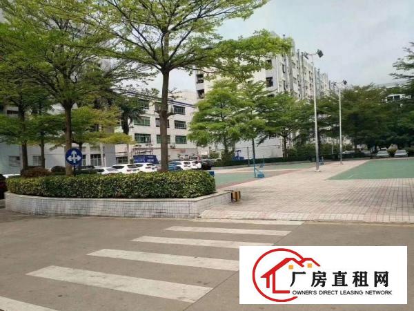 
坪山碧岭新出二楼1200平厂房出租，送装修