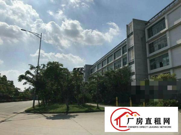 
坪山新出红本标准重工业厂房招租！单层15000平方