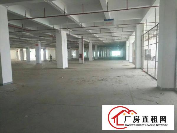 
坪山新出红本标准重工业厂房招租！单层15000平方