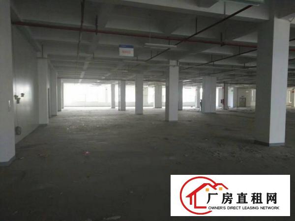 
坪山新出红本标准重工业厂房招租！单层15000平方