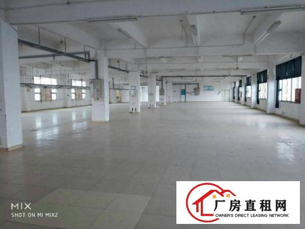 
坪山新出大型独院厂房6w平方出租，有红本，空地大