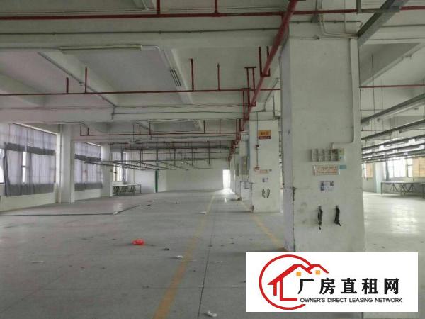
坪山新出大型独院厂房6w平方出租，有红本，空地大